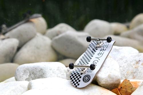 Skull Complete - Japan 34mm (Pro Truck Edition) - Image 3